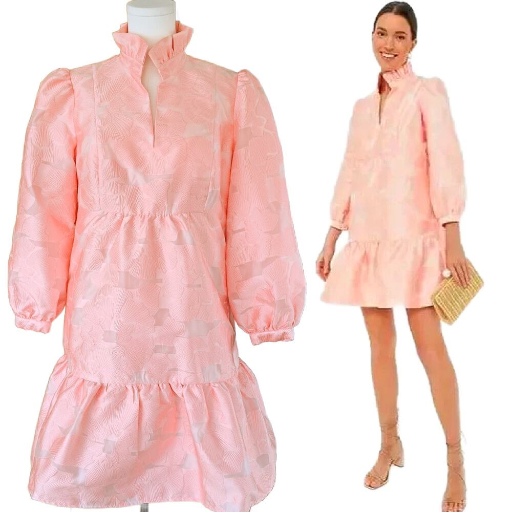 Tuckernuck Bellini Fil Coupe Pink Drop Waist Palmerston Dress Medium Spring